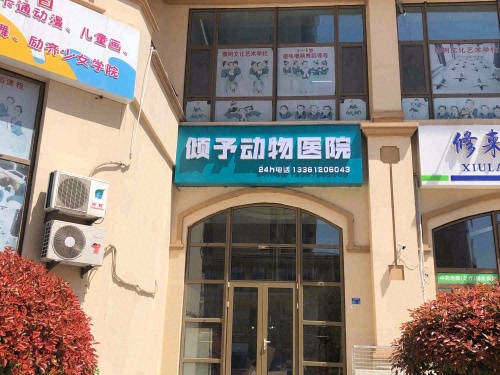 倾予动物医院