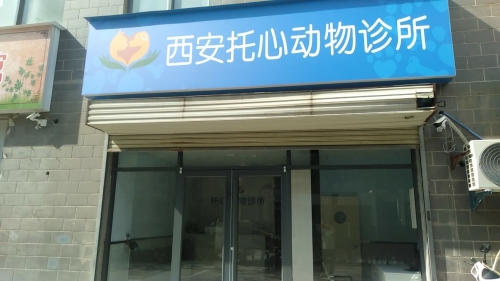 西安托心动物诊所