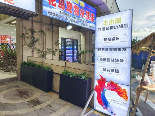 丰水阁花鸟宠物水族店(远大购物中心店)