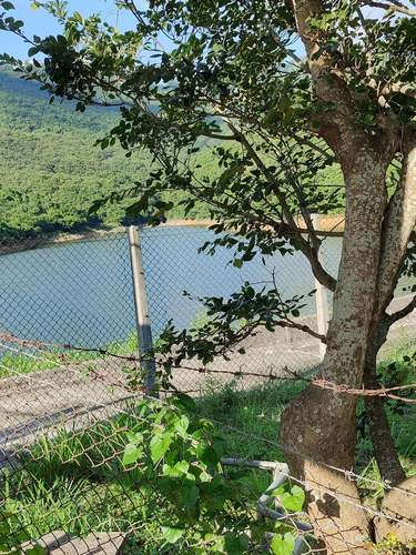 Pok Fu Lam Reservoir薄扶林水塘