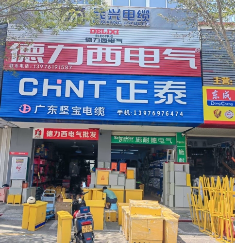 正泰德力西电气(津海店)