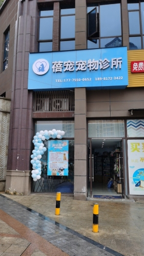 蓓宠宠物诊所