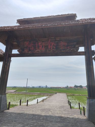 东港市北井子镇徐坨村田野主题公园