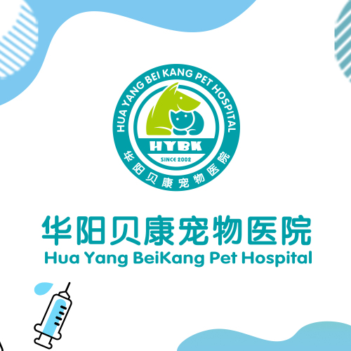 贝康宠物医院(音乐广场店)