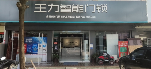 王力智能门锁