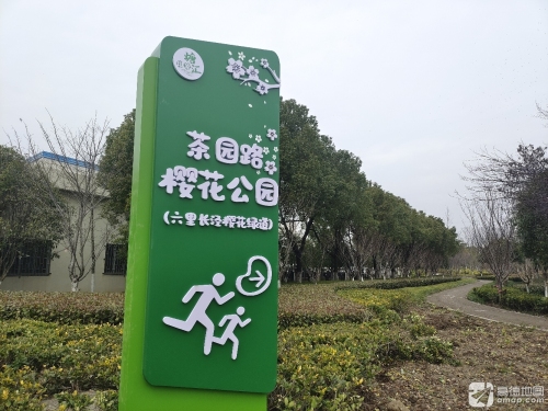 塘汇街道樱花公园