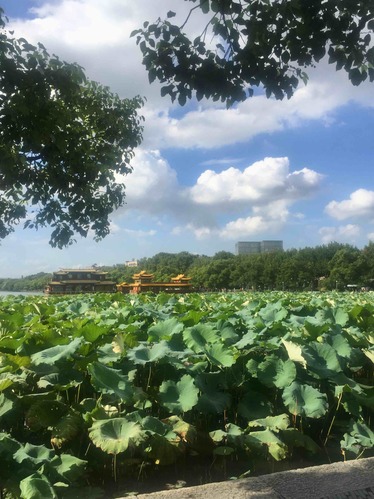 杭州西湖风景名胜区-湖滨公园