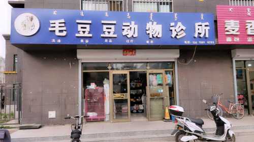 毛豆豆动物诊所