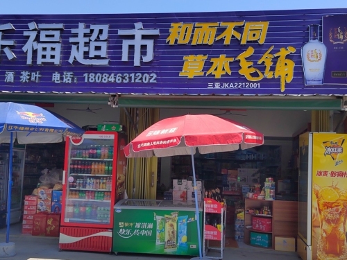 乐东莺歌海大乐福超市