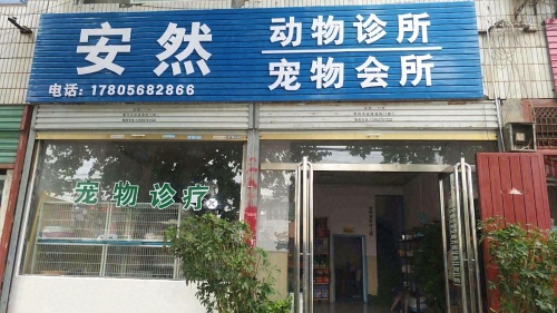 安然宠物医院