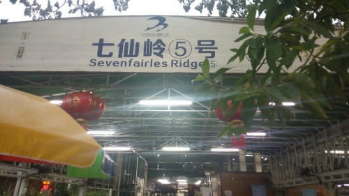 七仙岭5号