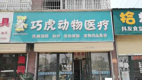 巧虎动物医疗