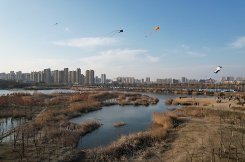 舜耕山大通湿地公园