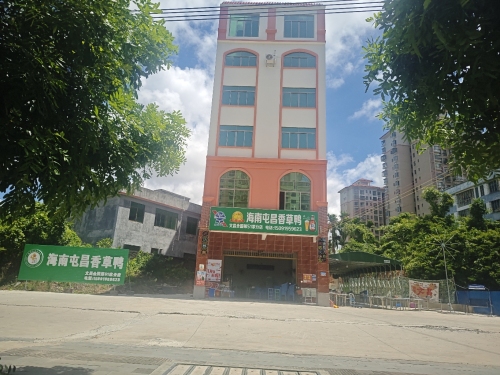 海南屯昌香草鸭(文昌店)