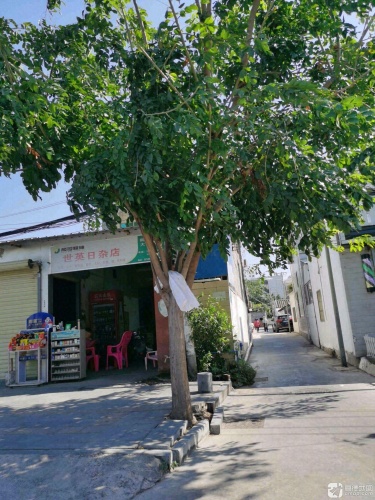 世英日杂店