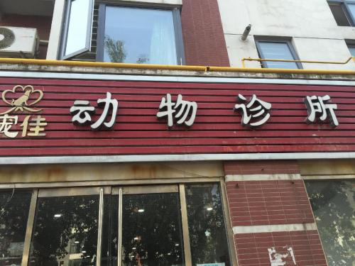 宠佳动物诊所(桃园路)