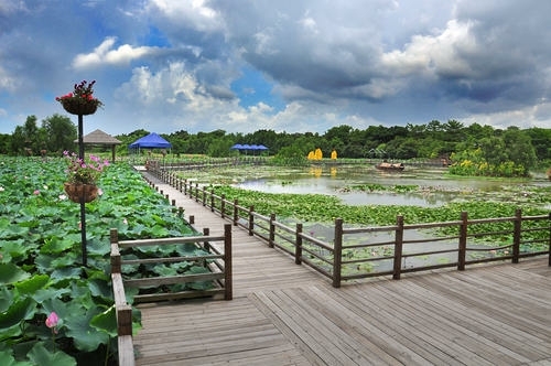北海湿地公园