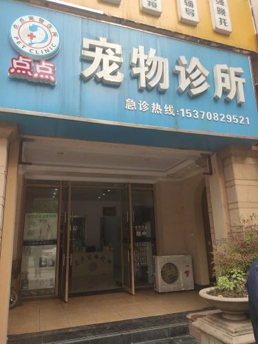 点点宠物诊所