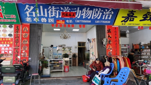 名山街道动物防治