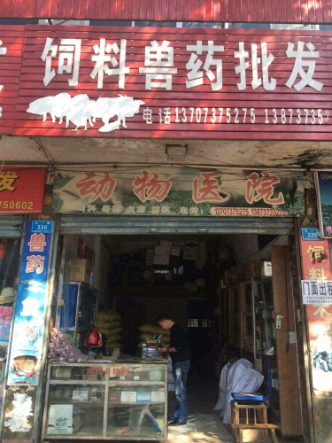 动物医院