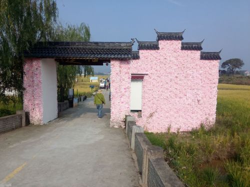 东鲍景区