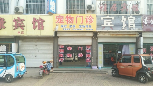 恩城宠物门诊