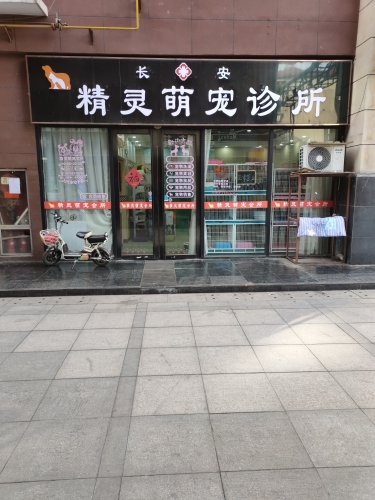 精灵萌宠宠物诊所