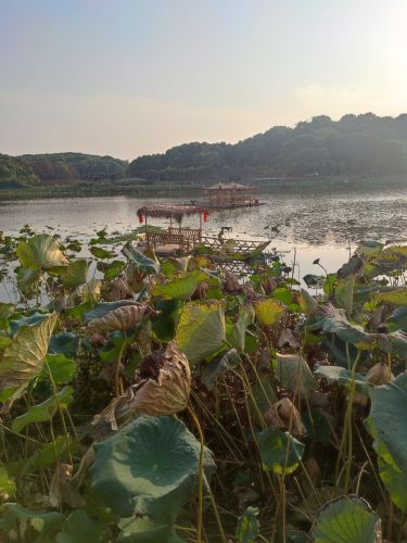 铜铁海湿地公园风景区