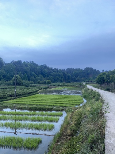 雅安市名山区旅行攻略