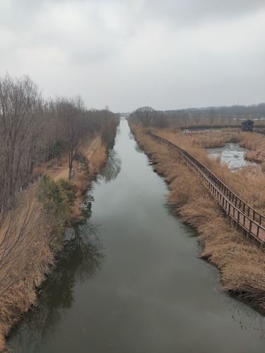 黄河湿地公园