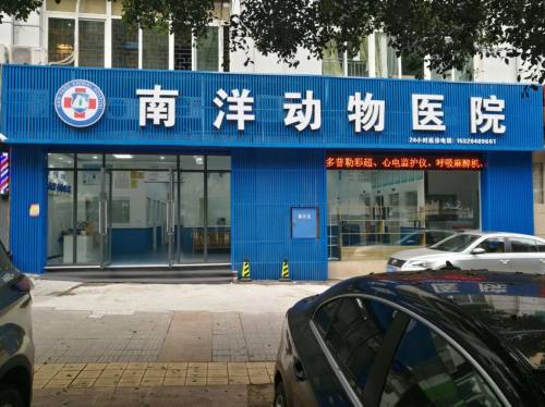 南洋动物医院