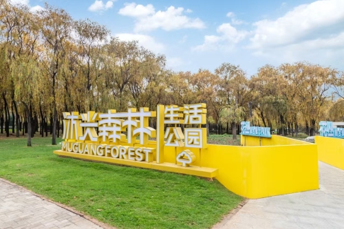 沐光森林生活公园