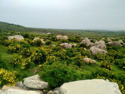 石海风景区