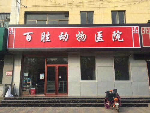 百胜动物医院