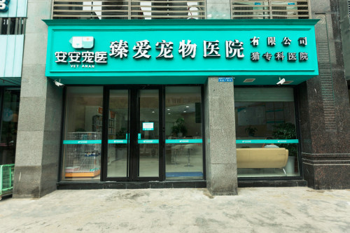 臻爱宠物医院有限公司