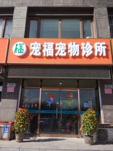 宠福宠物诊所