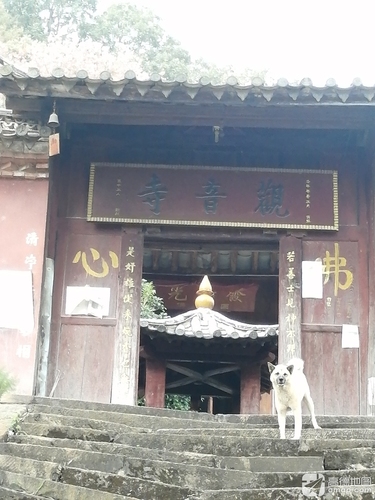 云龙山观音寺