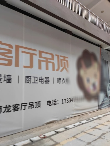 法狮龙客厅吊顶(申新泰富国际商贸城店)