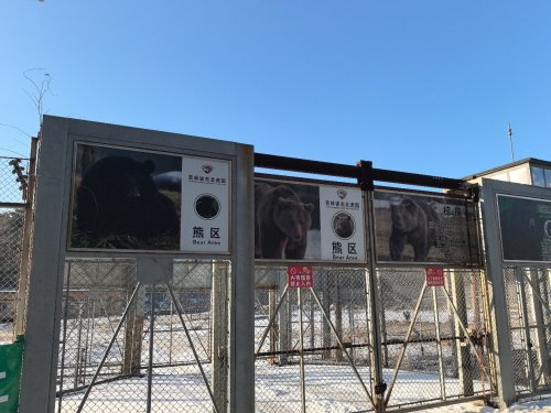 净月潭国家森林公园-熊区