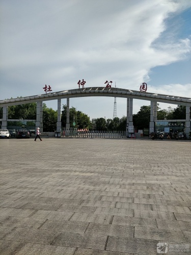 杜仲公园