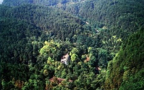 东山国家森林公园