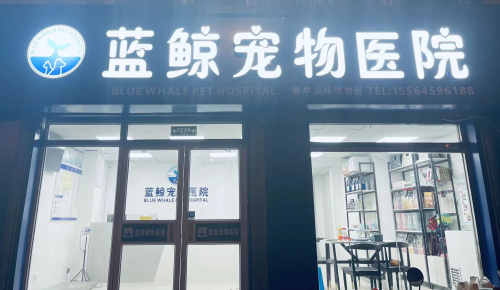 蓝鲸宠物医院