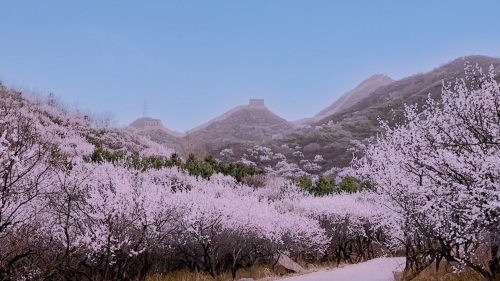 春季