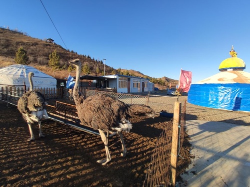 游牧人家旅游村