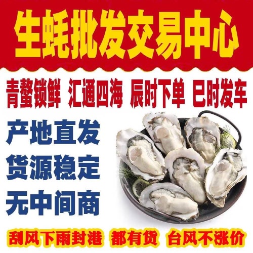 海南省生蚝批发交易中心