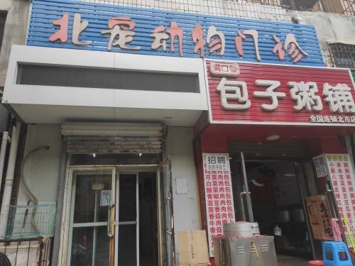 北宠动物门诊