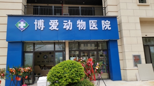 博爱动物医院(红星国际分院)