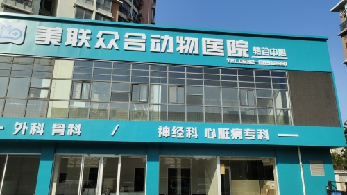 美联众合动物医院劲松五路分院