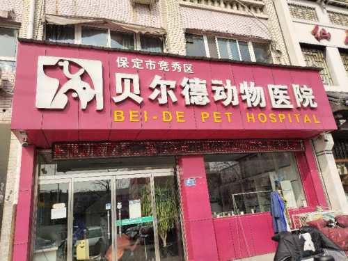 保定市竞秀区贝尔德动物医院