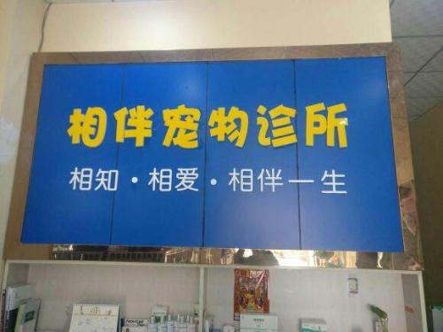 相伴宠物诊所
